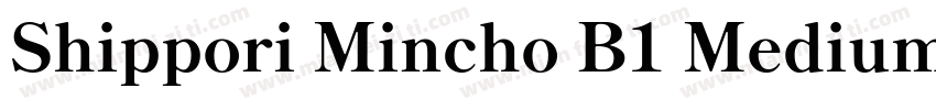 Shippori Mincho B1 Medium字体转换